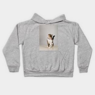 curious cat looking up Kids Hoodie